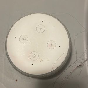 Do you like listening to music get this echo dot